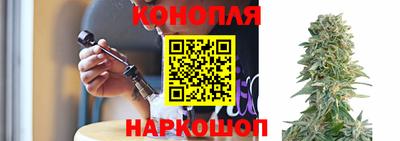 хмурый Бийск