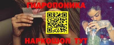 индика Берёзовский