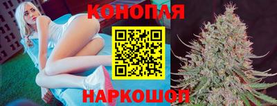 хмурый Бийск