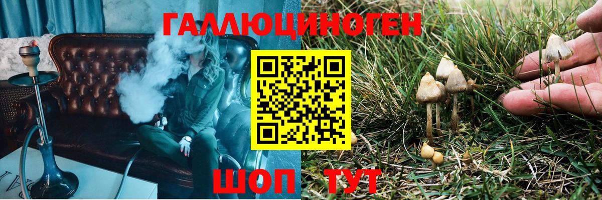 Псилоцибиновые грибы Cubensis  Вход с VPN  Кимры 